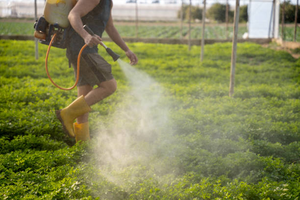 Best Best Pest Control Near Me  in Watertown, MN
