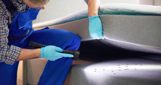 Trusted Watertown, MN Pest Control Experts