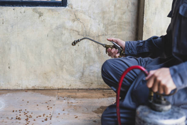 Best Residential Pest Control  in Watertown, MN