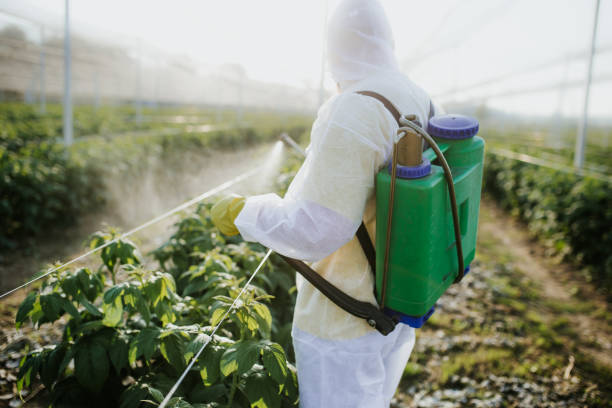 Best Exterminator Services  in Watertown, MN
